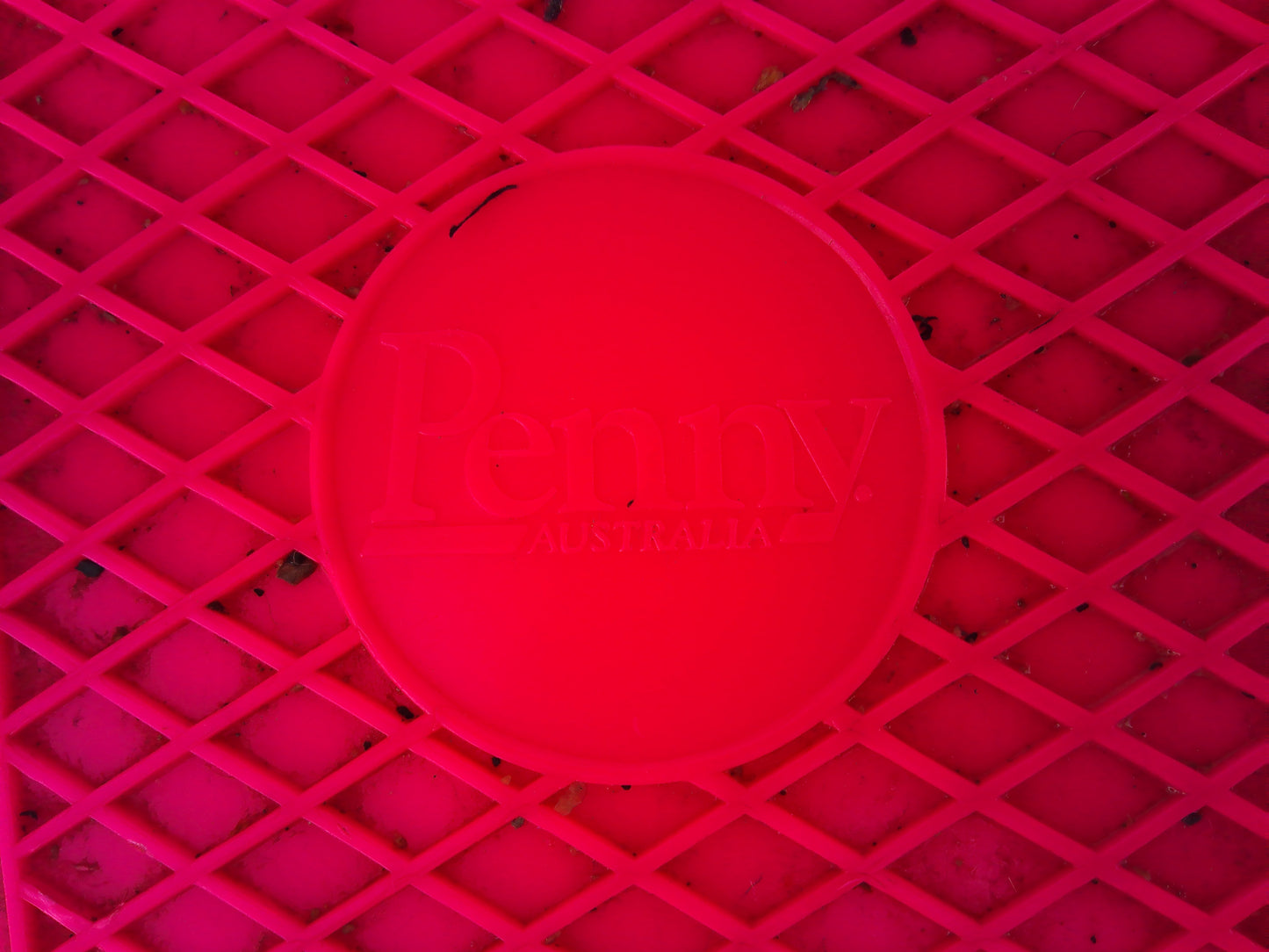Penny Australia 22" Skateboard Pink