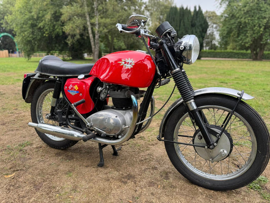 1967 BSA A65T THUNDERBOLT