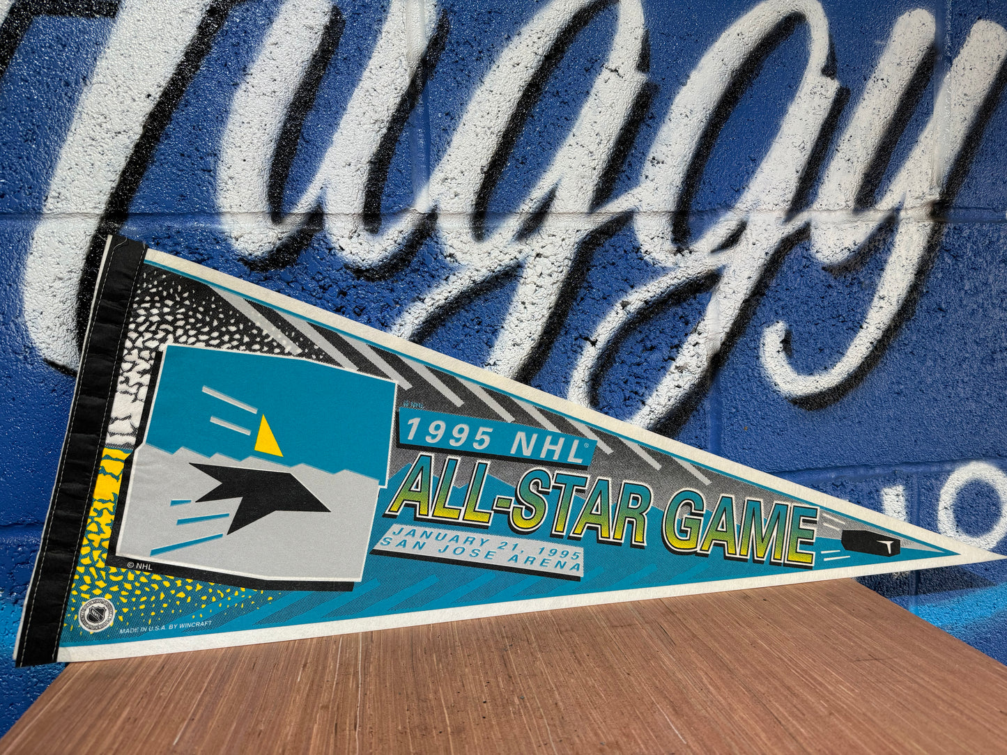 VINTAGE NHL 1995 ALL STAR GAME FELT PENNANT