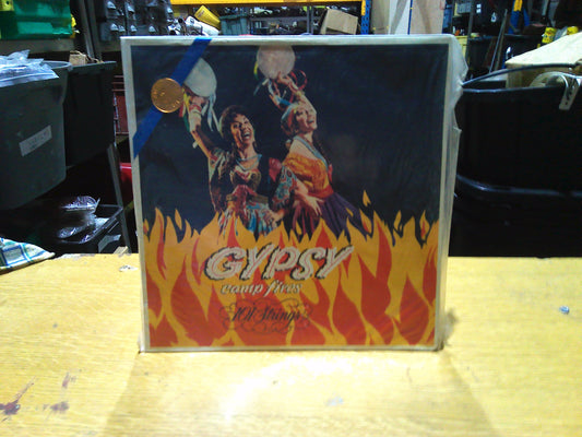 Vintage Gypsy Campfire vinyl record