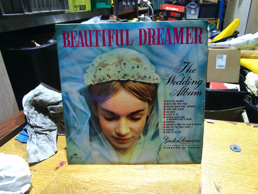 Vintage Beautiful Dreamer vinyl record