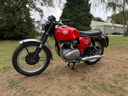 1967 BSA A65T THUNDERBOLT