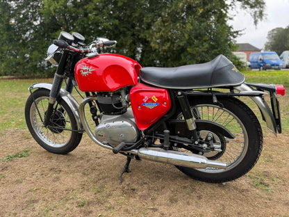 1967 BSA A65T THUNDERBOLT