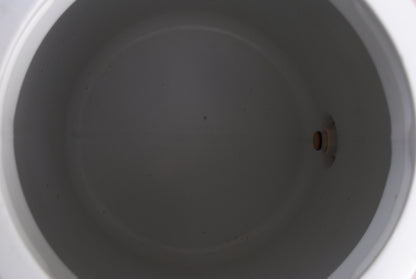 NOS Coleman 1970s brown water jug