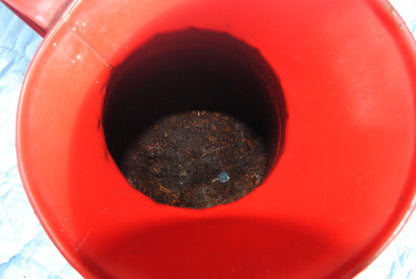 Esso branded red oil jug